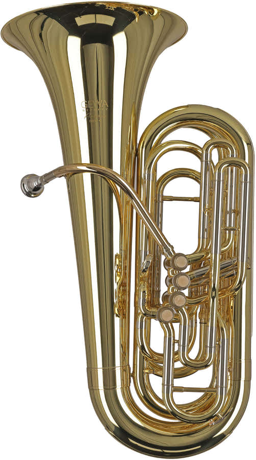 Ambition BB501C Contrabajo C Barnizado