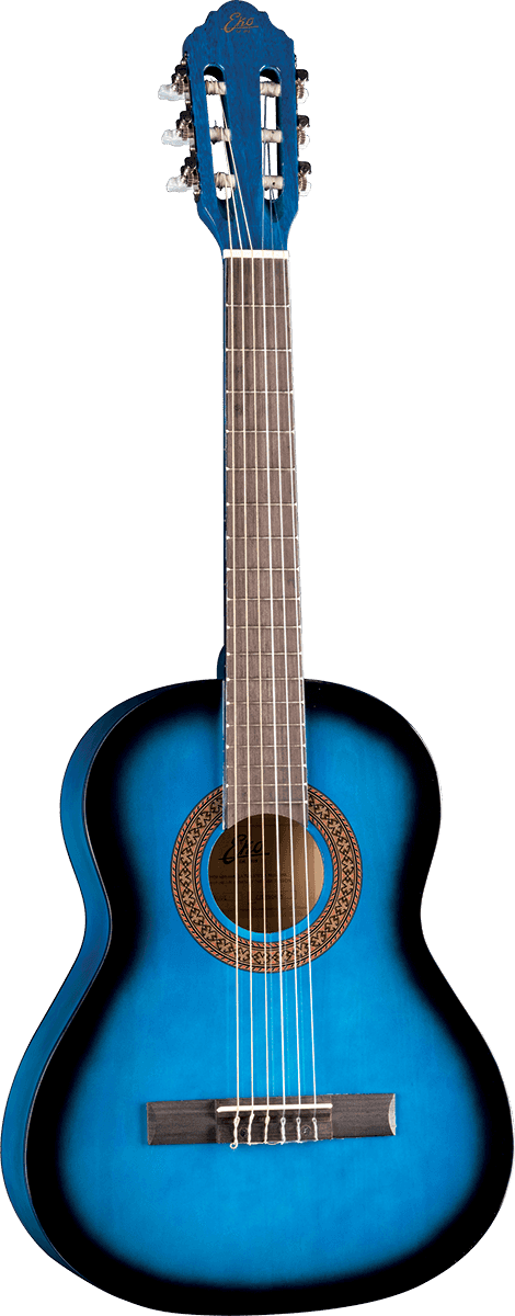 CS-5 3/4 Blue Burst + Funda