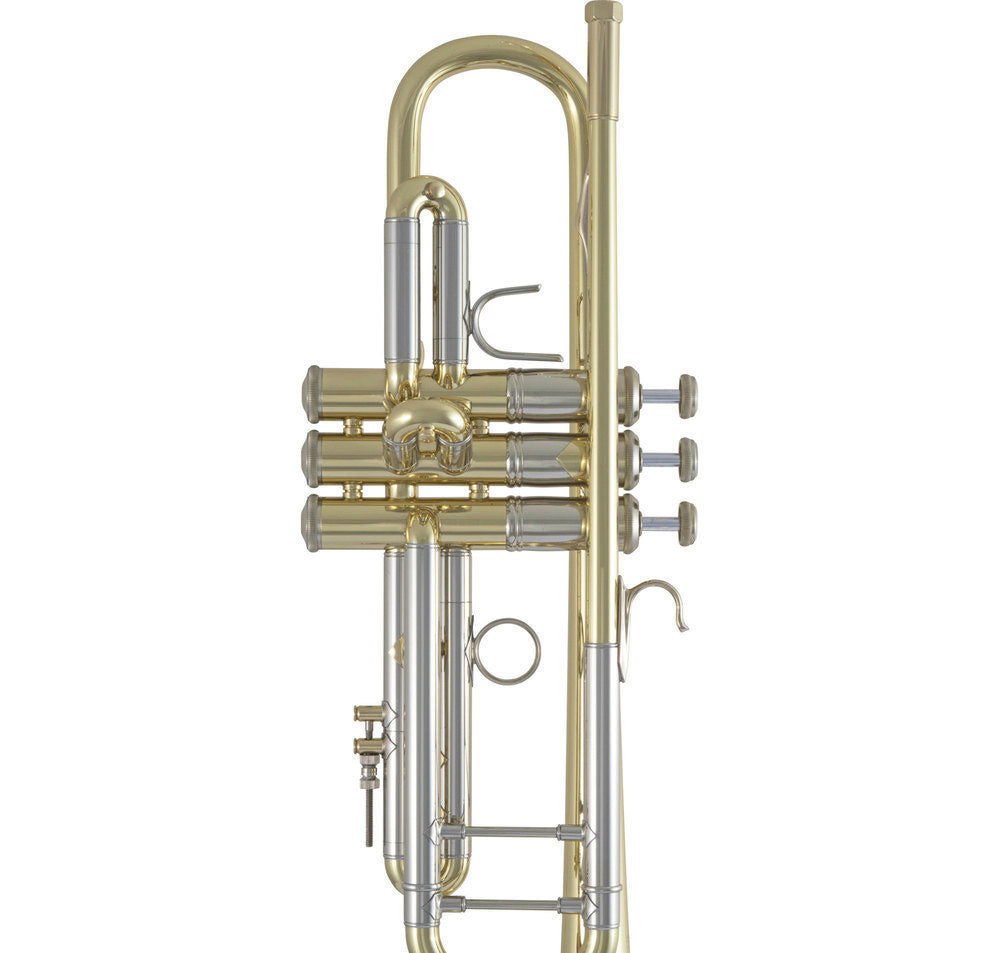 190S43 - SIB STRADIVARIUS PLATEADO
