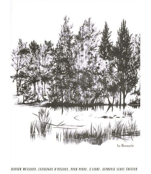 Messiaen O. - Catalogue D Oiseaux Vol.5 - Piano