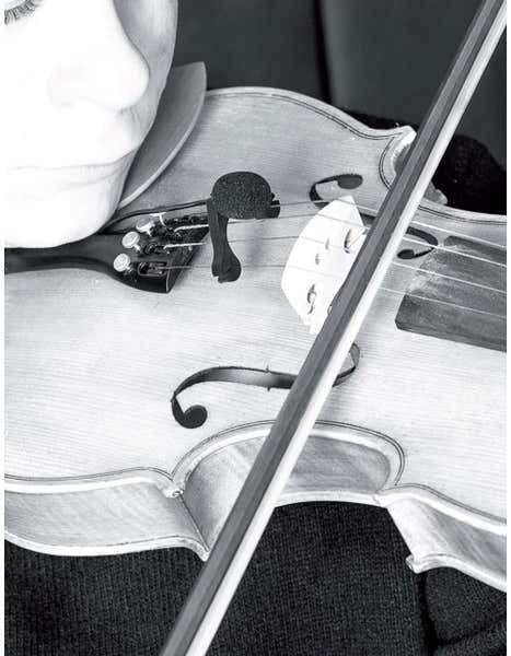 VL21C Lanen Violín - Viola