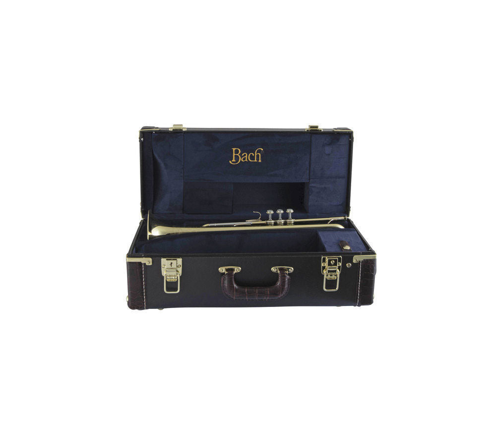 190S43 - SIB STRADIVARIUS PLATEADO
