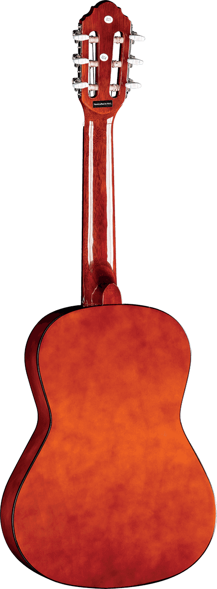 CS-2 1/2 Sunburst + Funda