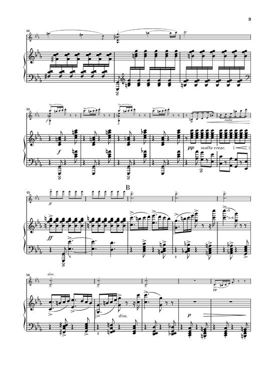 Grieg E. - Sonata para violín en Do menor Op. 45