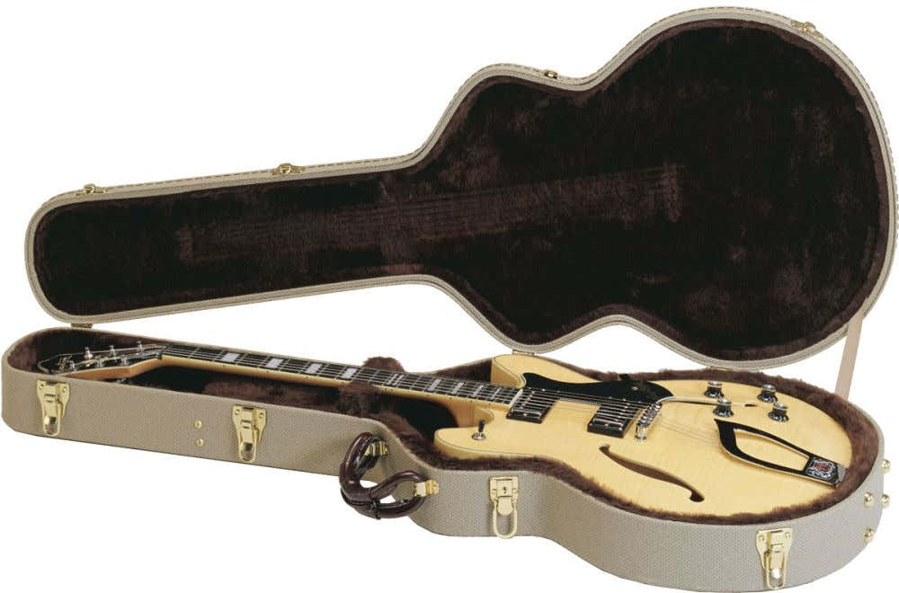 Estuche C55 Guitarra Viking
