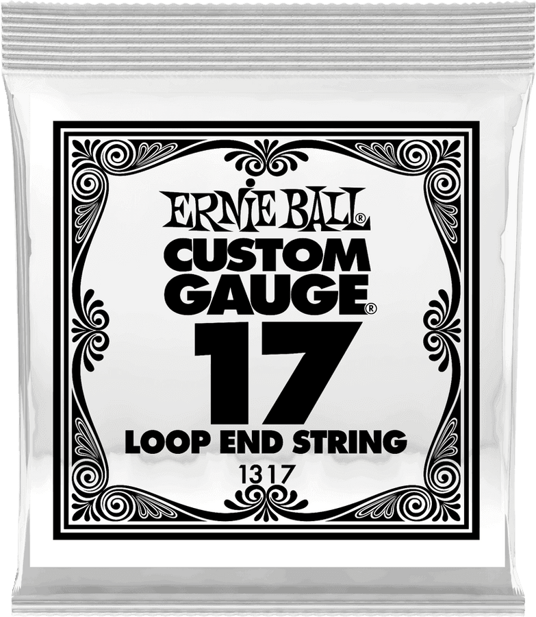 .017 LOOP END STAINLESS STEEL PLAIN BANJO OR MANDOLIN GUITAR STRINGS