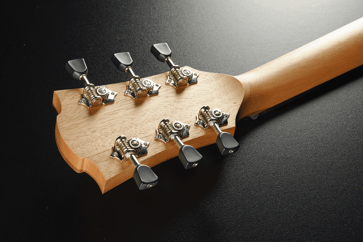 Tramontane T70ACE Auditorium Electroacústica Ctw Natural