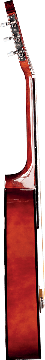 CS-2 1/2 Sunburst + Funda