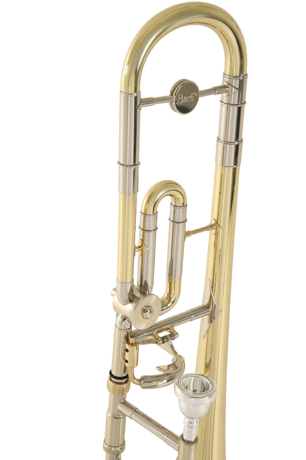 Ambition TB650 Tenor Sib/Do lacado (niño)