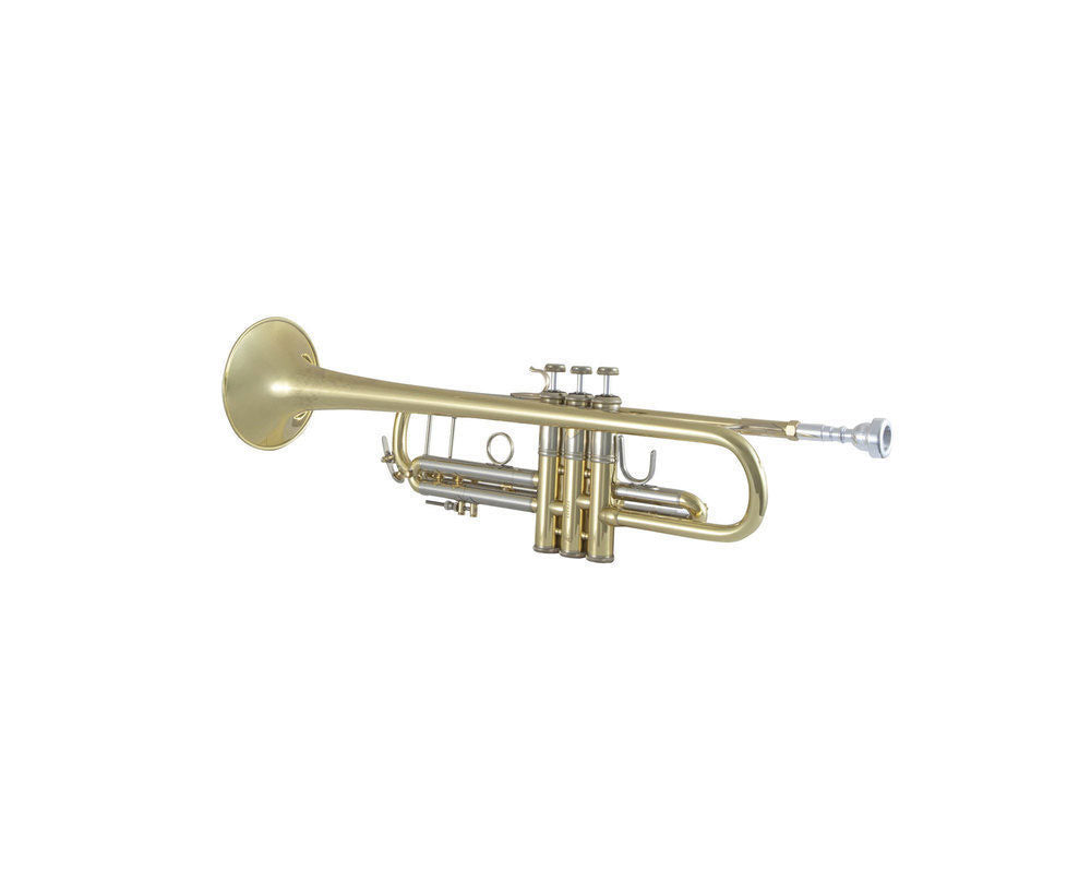 190S43 - SIB STRADIVARIUS PLATEADO