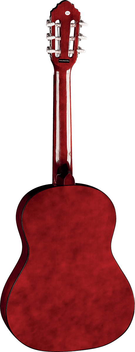 CS-5 3/4 Sunburst + Funda