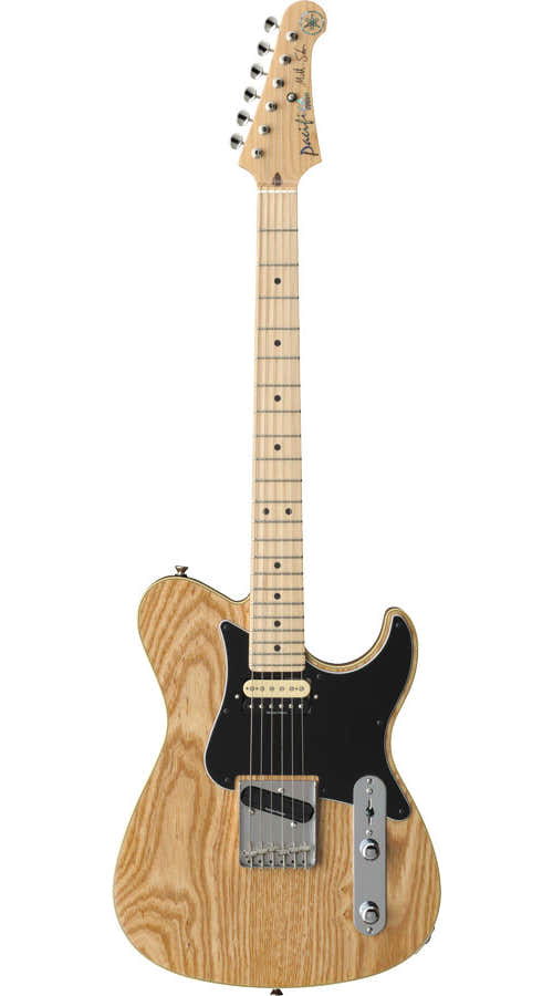 Pa1611Msnt Mike Stern Signature Natural