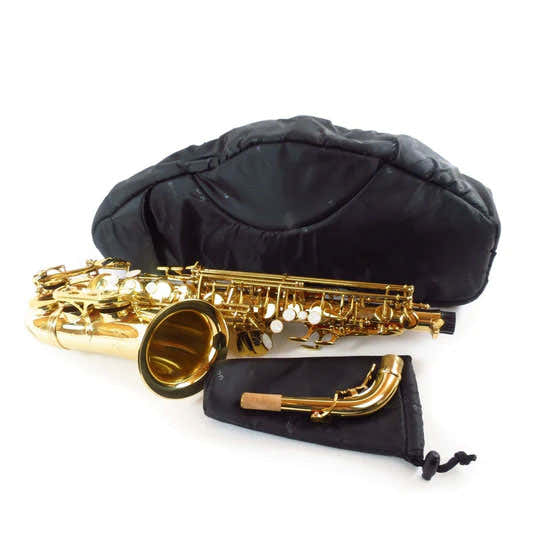 Black Alto Saxophone Case