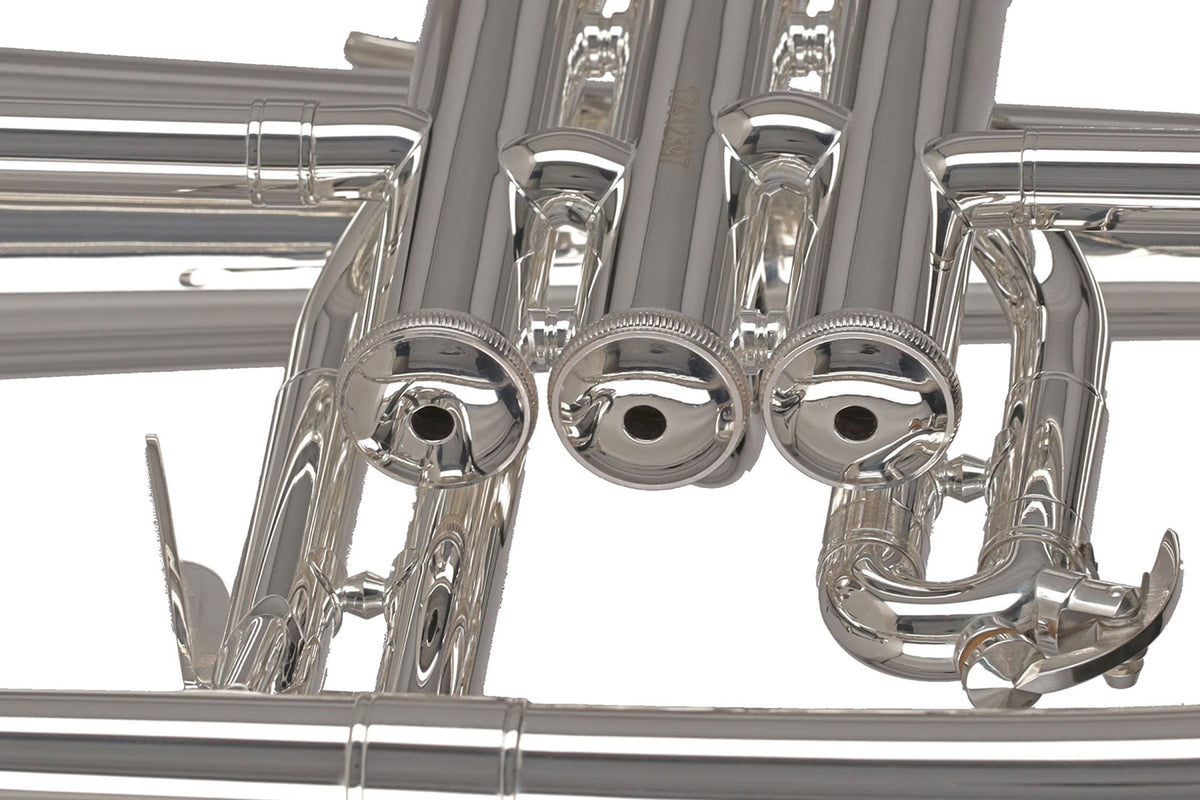 Ambition FH501S Sib Plateado