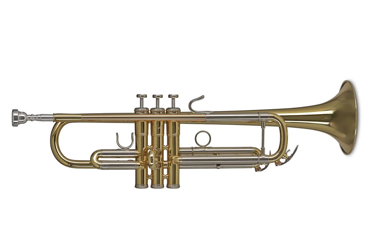Gewa Artist II Sib Barnizado