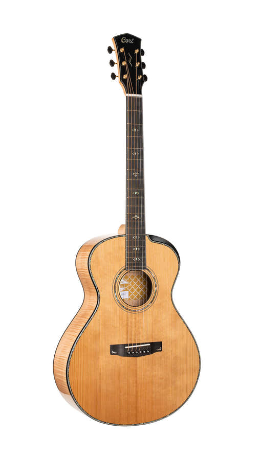 Guitare Gold-Passion Naturel Brill.