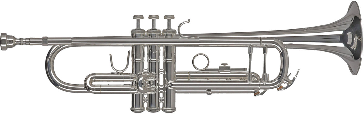 Gewa Ambition TR501S Sib Plateada