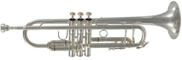 TP500S - Sib Plateada