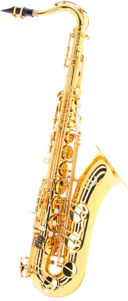 WST300 - Tenor Sib Barnizado