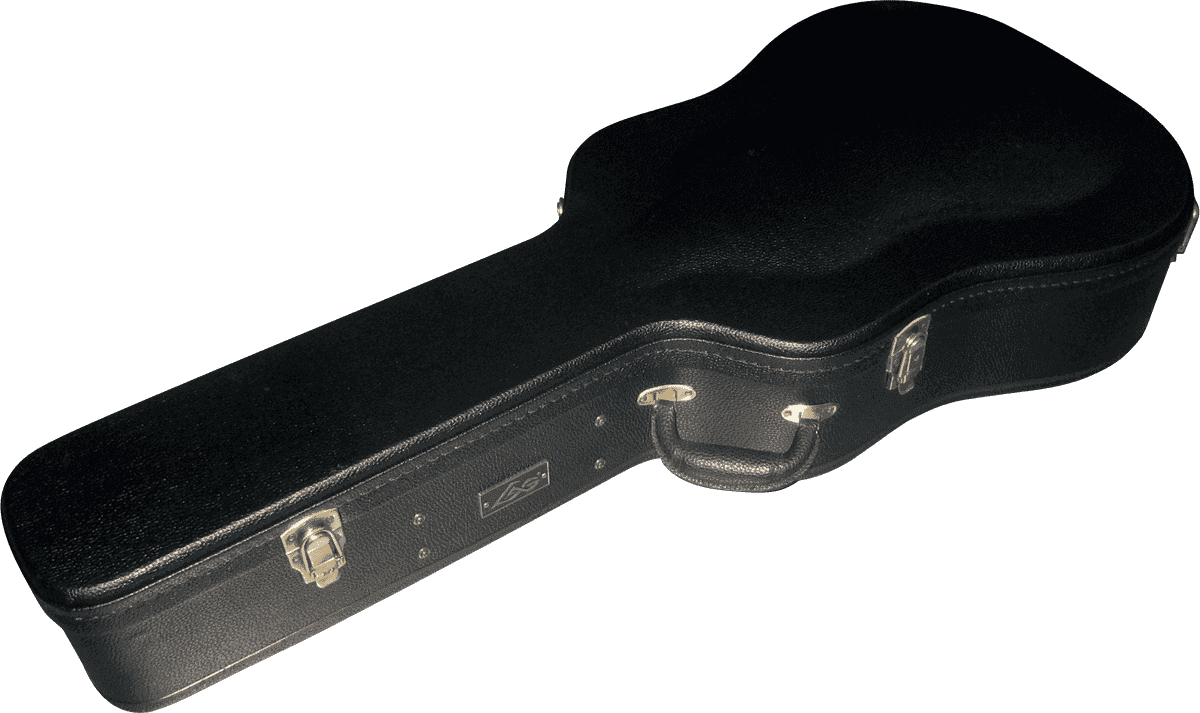 100D Estuche Dreadnought